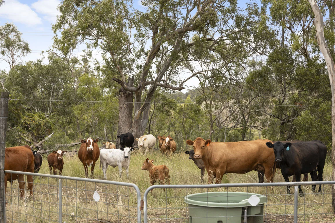 Additional image 33 of 36 Walkers Springs Road, Preston QLD 4352