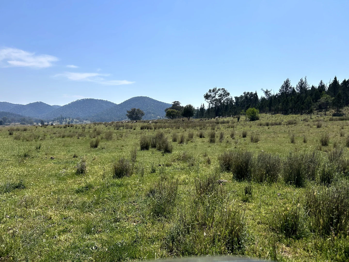 Additional image 10 of Riverview Road, Bingara NSW 2404