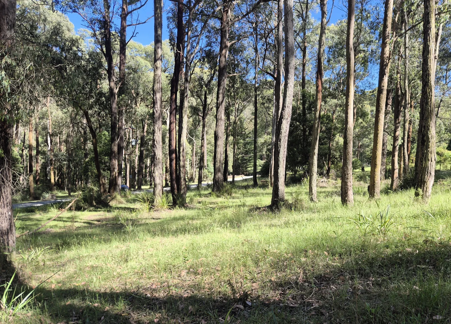 Additional image 6 of 22 Fisherman Drive, Reefton VIC 3799