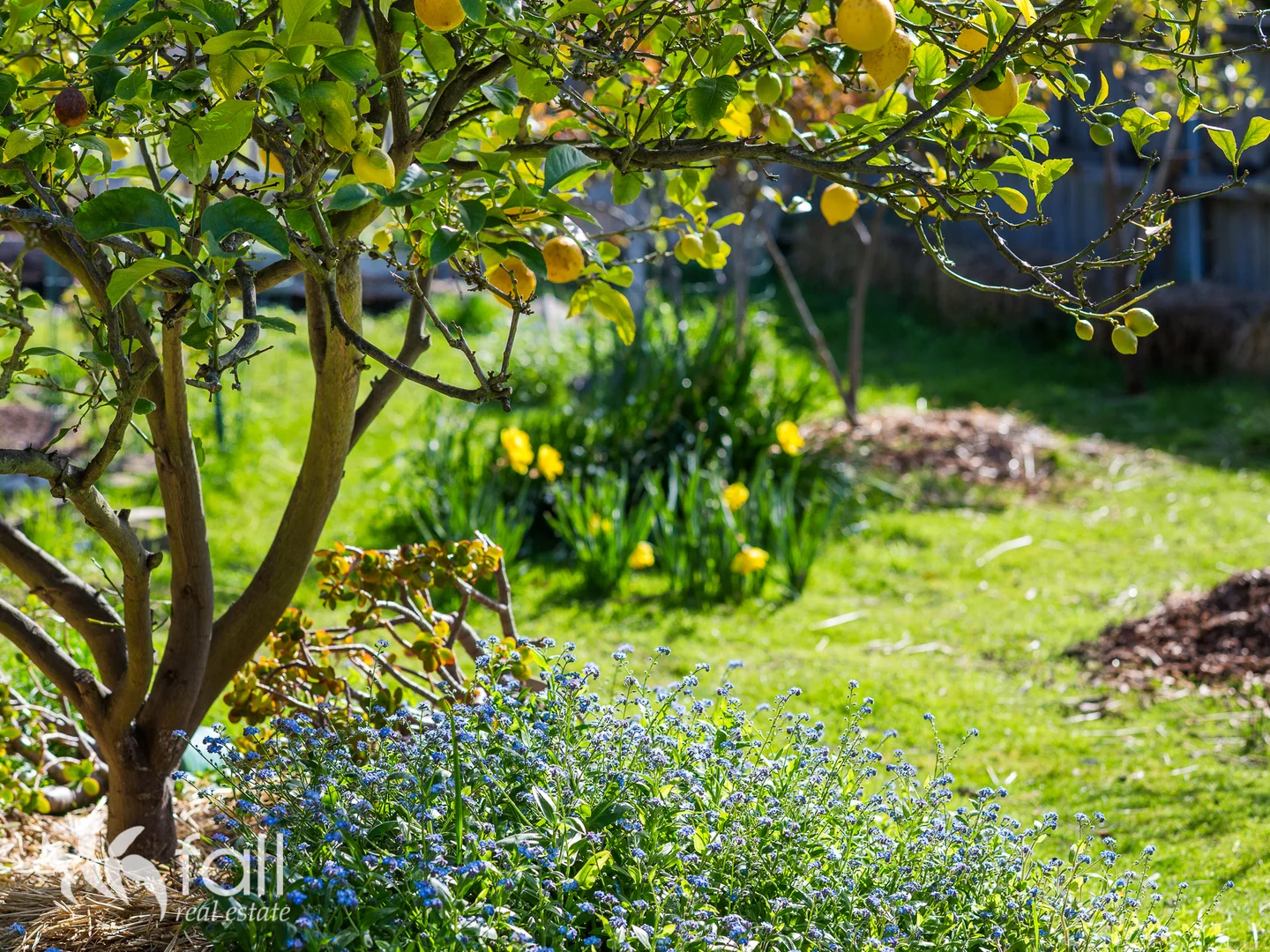 Additional image 16 of 56 Lower Jordan Hill Road, West Hobart TAS 7000