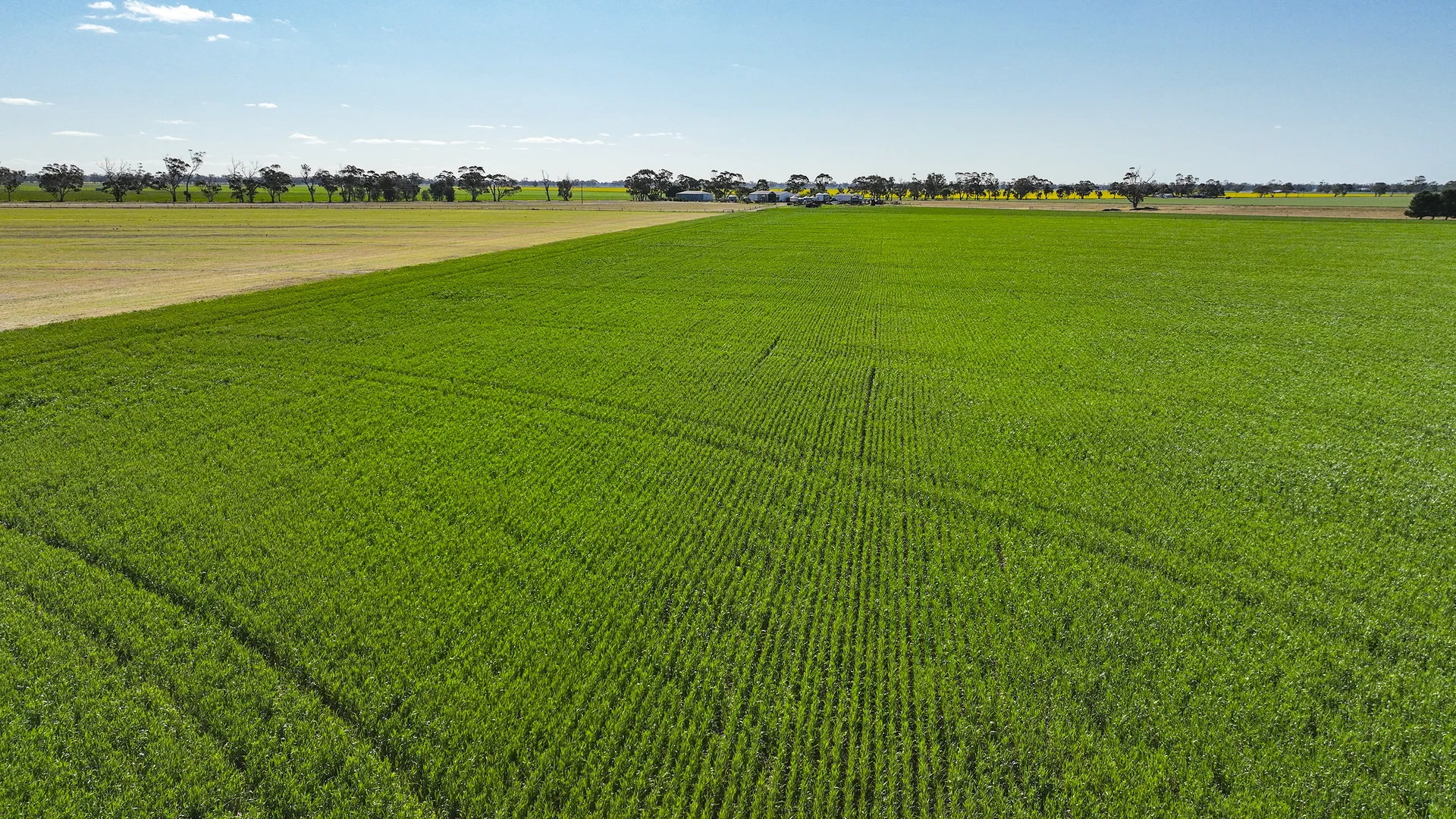 Additional image 22 of 139 Packer Road, Bordertown South SA 5268