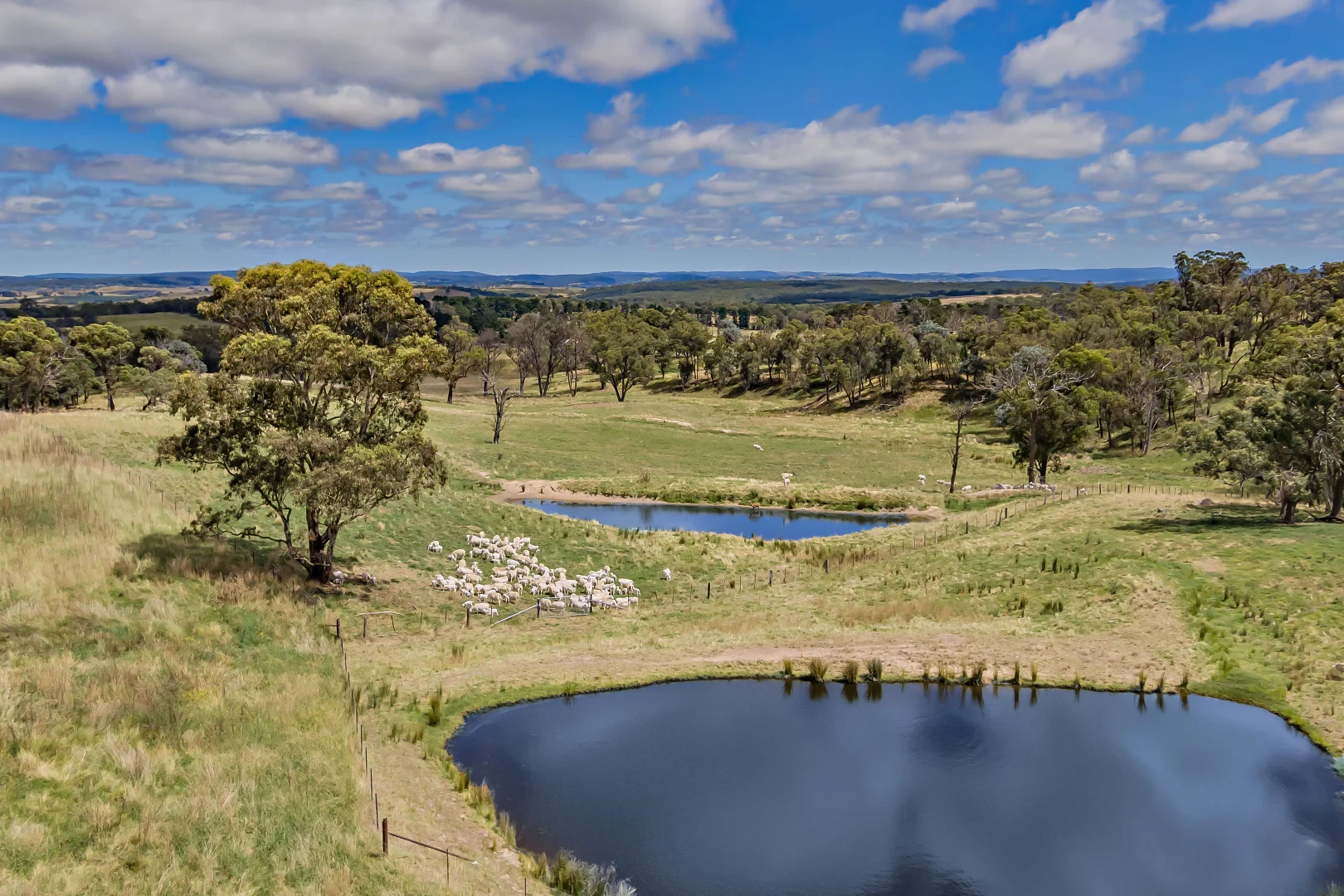 Additional image 13 of 1777 Canyonleigh Road, Canyonleigh NSW 2577