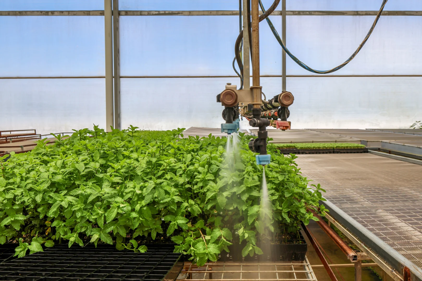 Additional image 19 of 178 Dunns Avenue, Harrisville QLD 4307