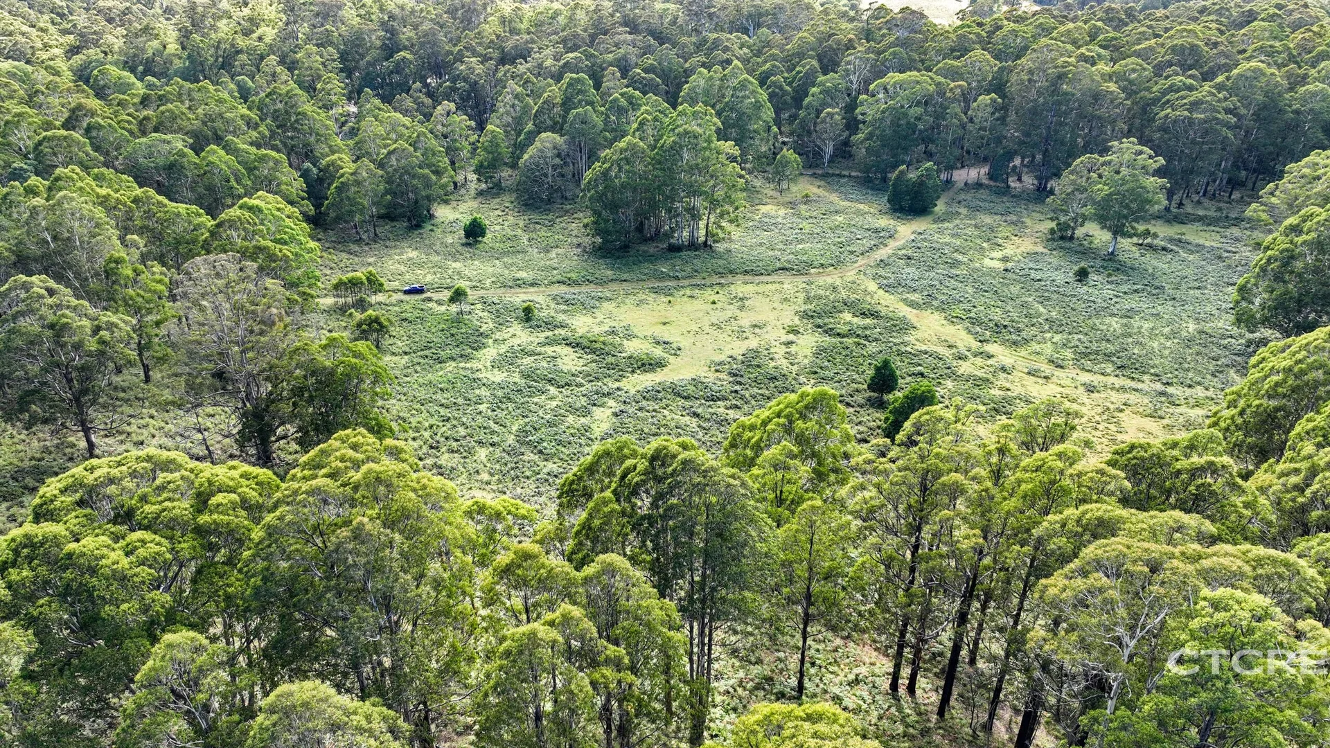 Additional image 7 of 12F & 12G Minchins Track, Bonang VIC 3888