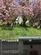 Additional image 23 of Church Lane, St. Austell PL26