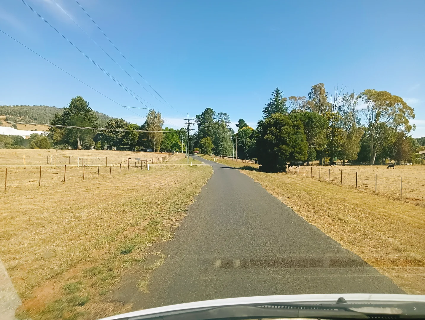 Additional image 28 of 160 Keenans Road, Batlow NSW 2730