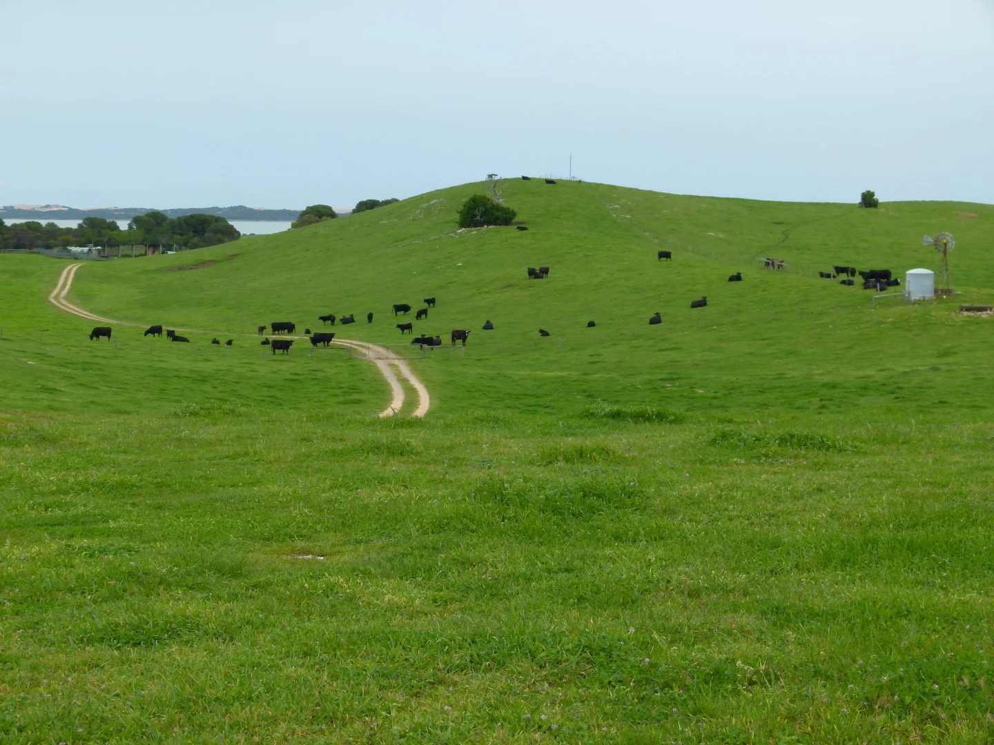 Additional image 18 of 1683 Canunda Frontage Road, Tantanoola SA 5280