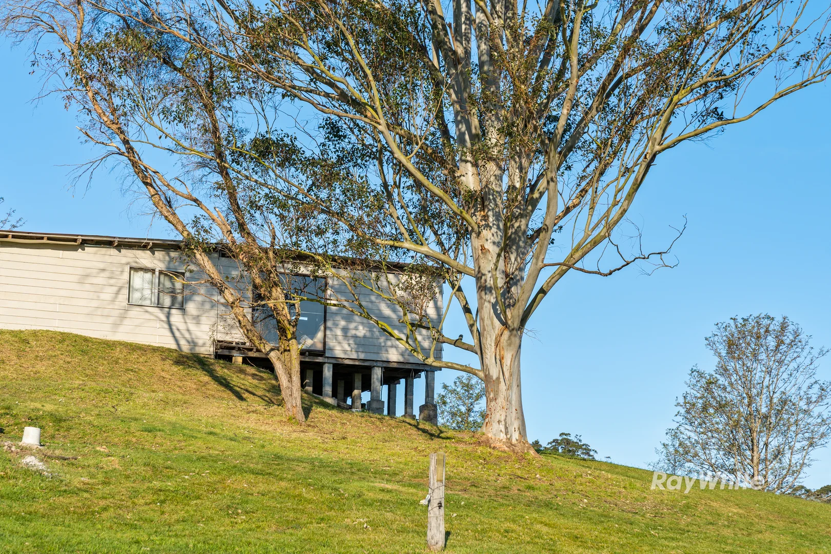 Additional image 19 of 56 Eurobodalla Road, Bodalla NSW 2545