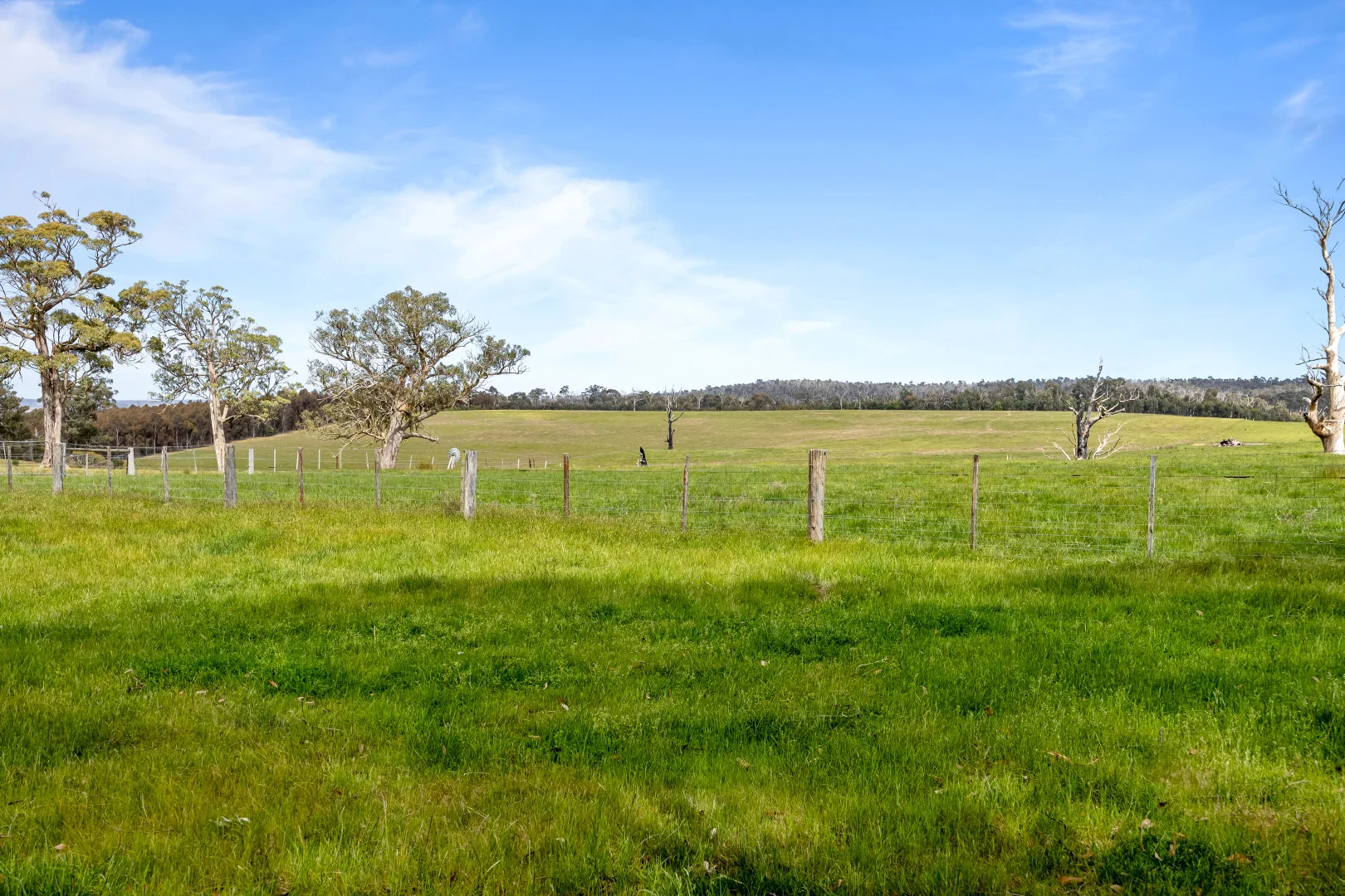 Additional image 28 of 316 Pryors Road, Scotsburn VIC 3352