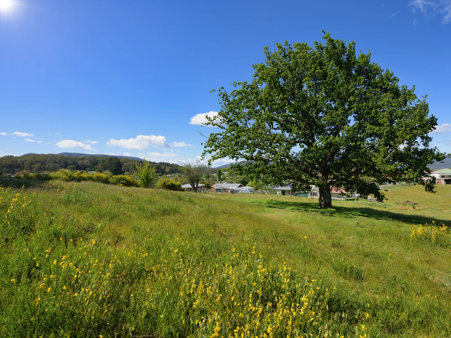 Additional image 5 of 3/7 Grant Street, St Marys TAS 7215