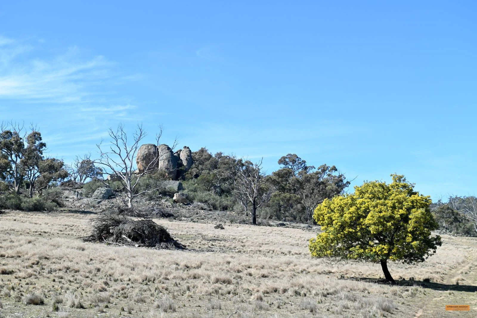 Additional image 17 of "The Top Paddock" Bairds Crossing Road, Dalgety NSW 2628