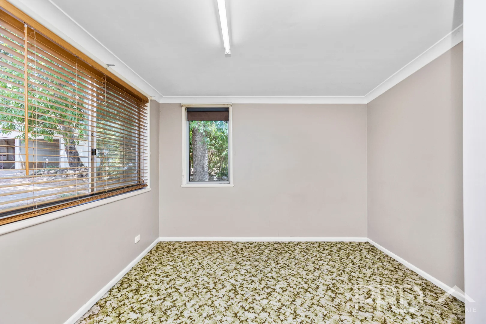 Additional image 14 of 56 Mines Road, Batlow NSW 2730