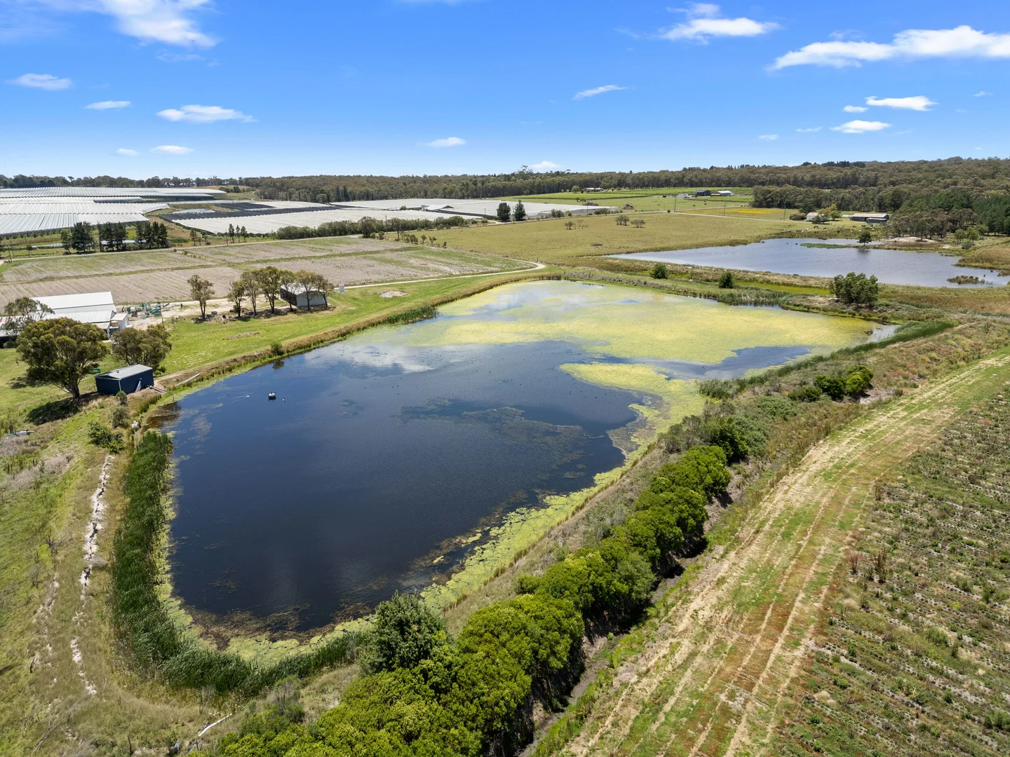 Additional image 43 of 79 Cottonvale School Rd, Cottonvale QLD 4375