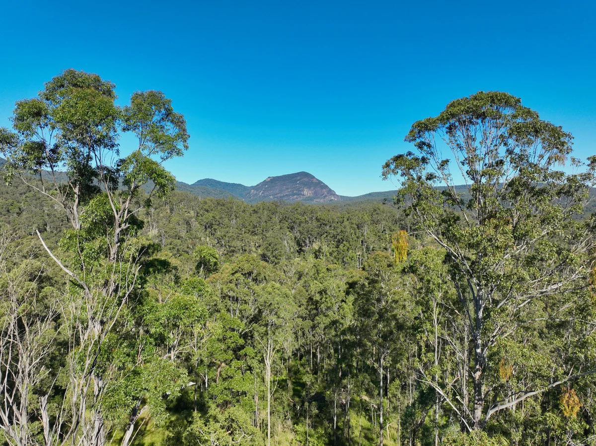 Additional image 21 of 4339 Summerland Way, Unumgar NSW 2474