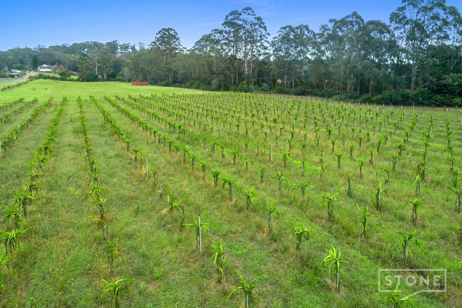 Additional image 11 of 900 Sackville Road, Sackville NSW 2756
