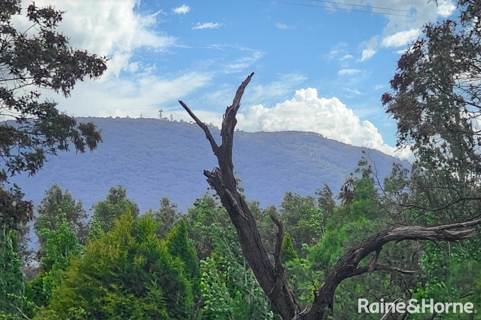 Additional image 18 of 99 Crows Road, Woodend North VIC 3442