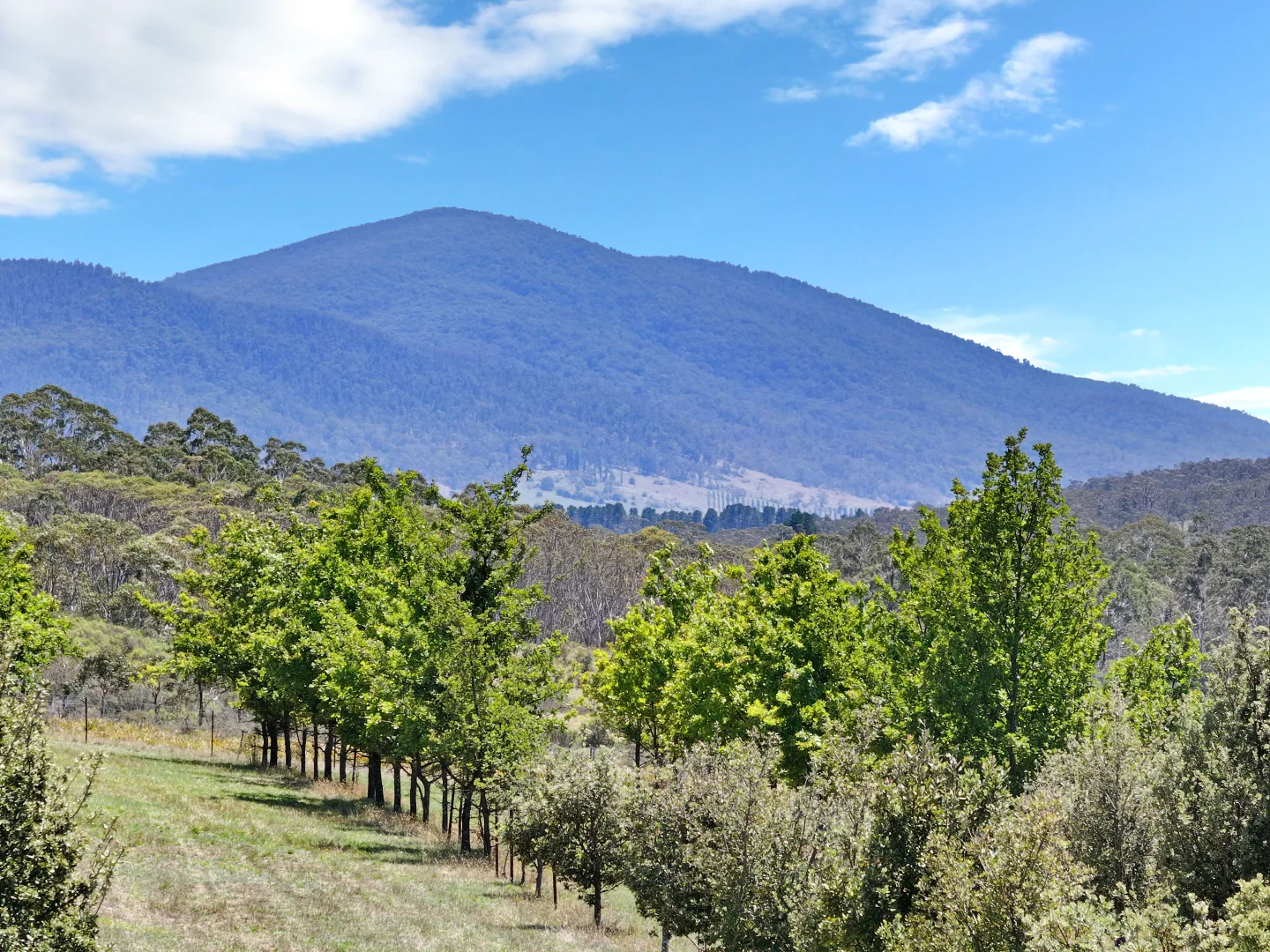 Additional image 5 of 760 Wallaces Gap Road, Braidwood NSW 2622