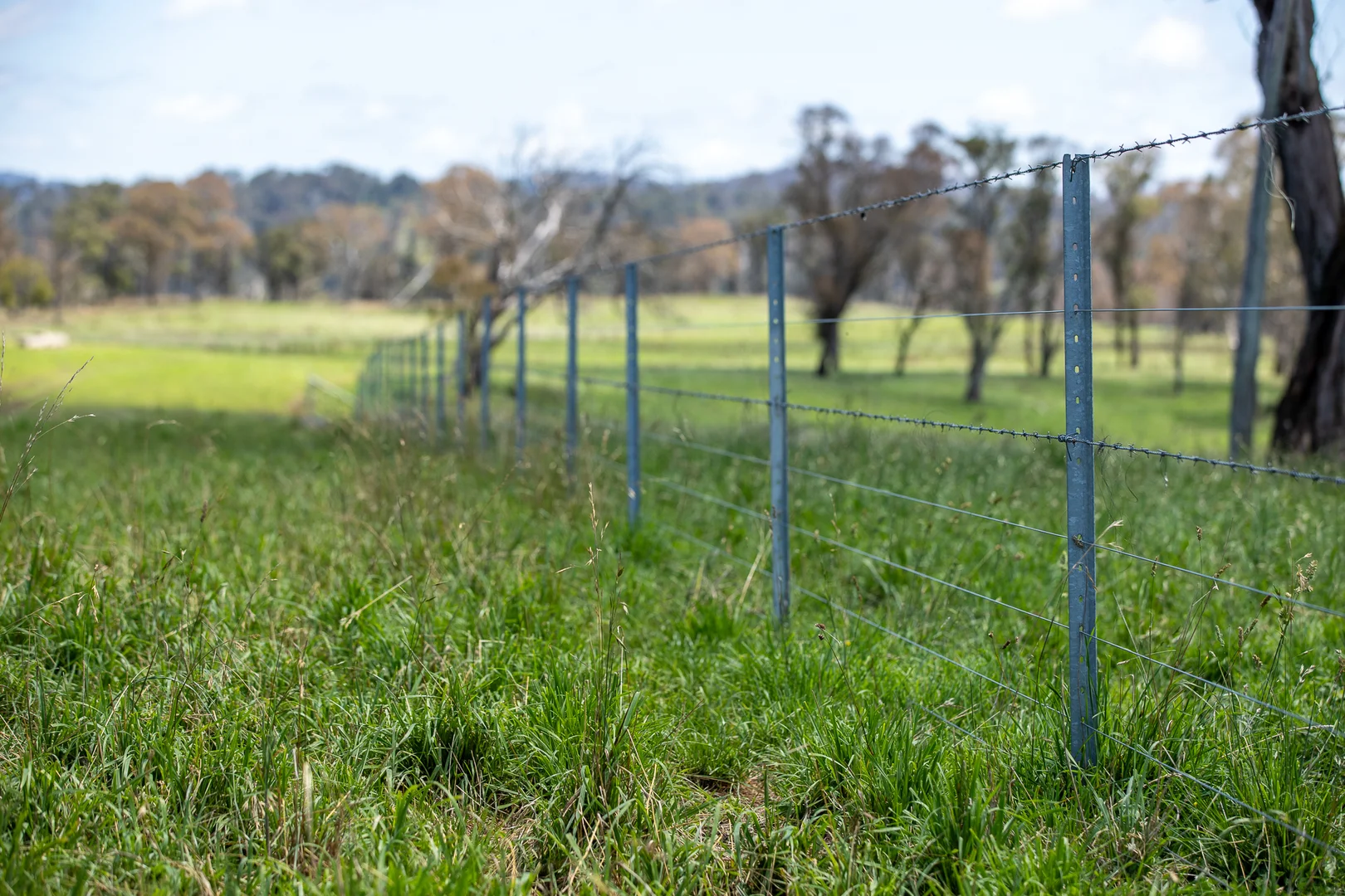 Additional image 30 of 1763 Wongwibinda Road, Armidale NSW 2350