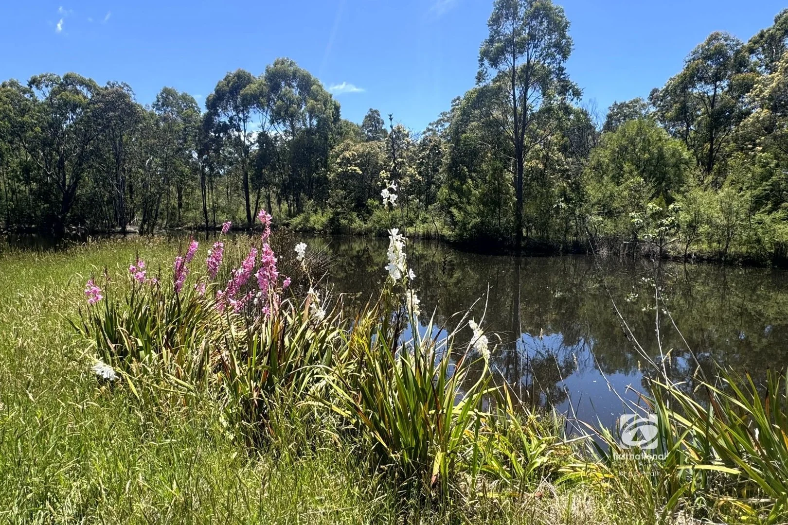 139 Buchan South Road, Buchan South VIC 3885