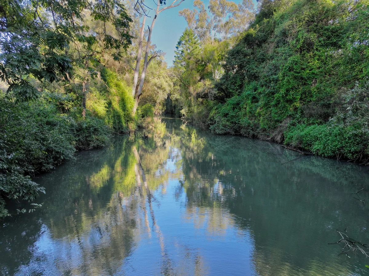 Additional image 5 of 4339 Summerland Way, Unumgar NSW 2474