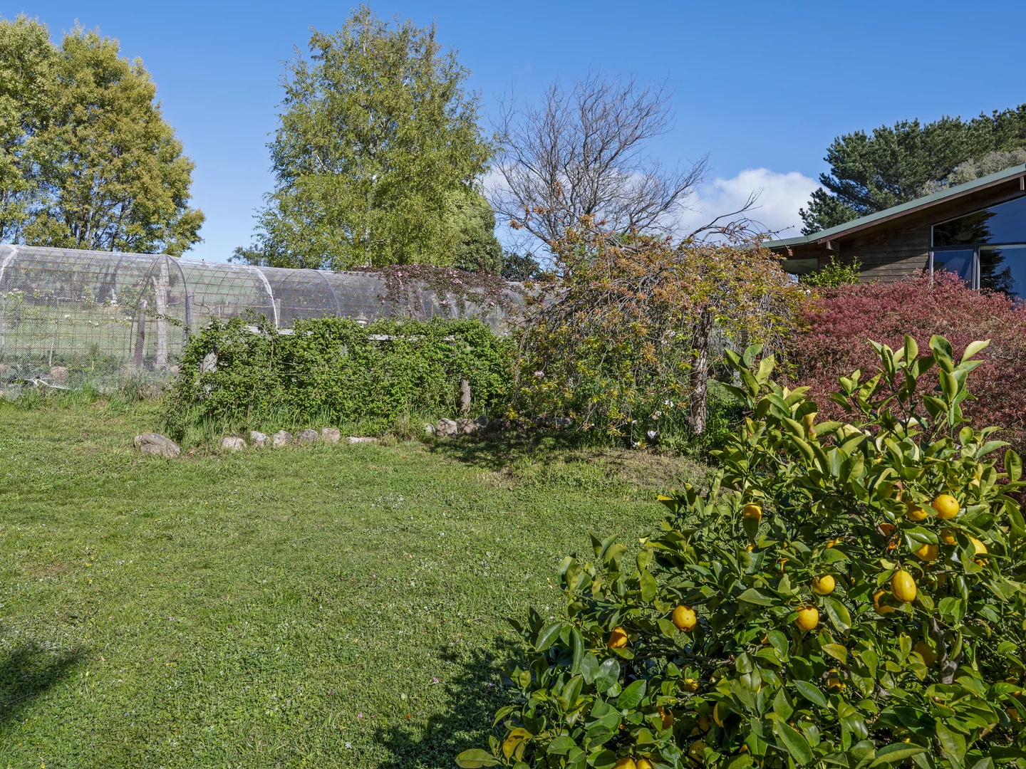 Additional image 24 of 2122 Euroa-Strathbogie Road, Strathbogie VIC 3666