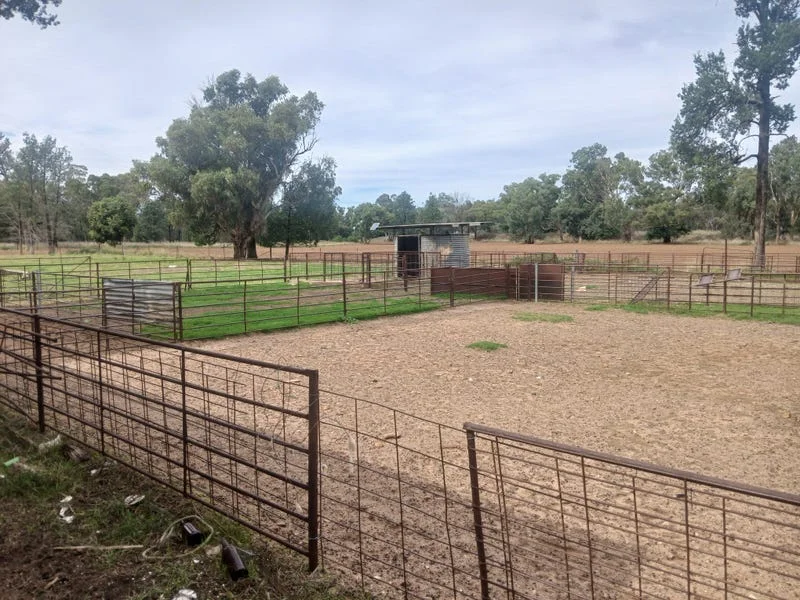 Additional image 8 of Tooraweenah NSW 2817