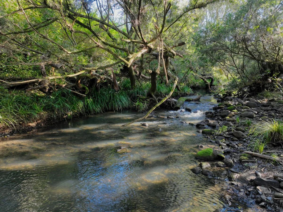 Additional image 4 of 4339 Summerland Way, Unumgar NSW 2474