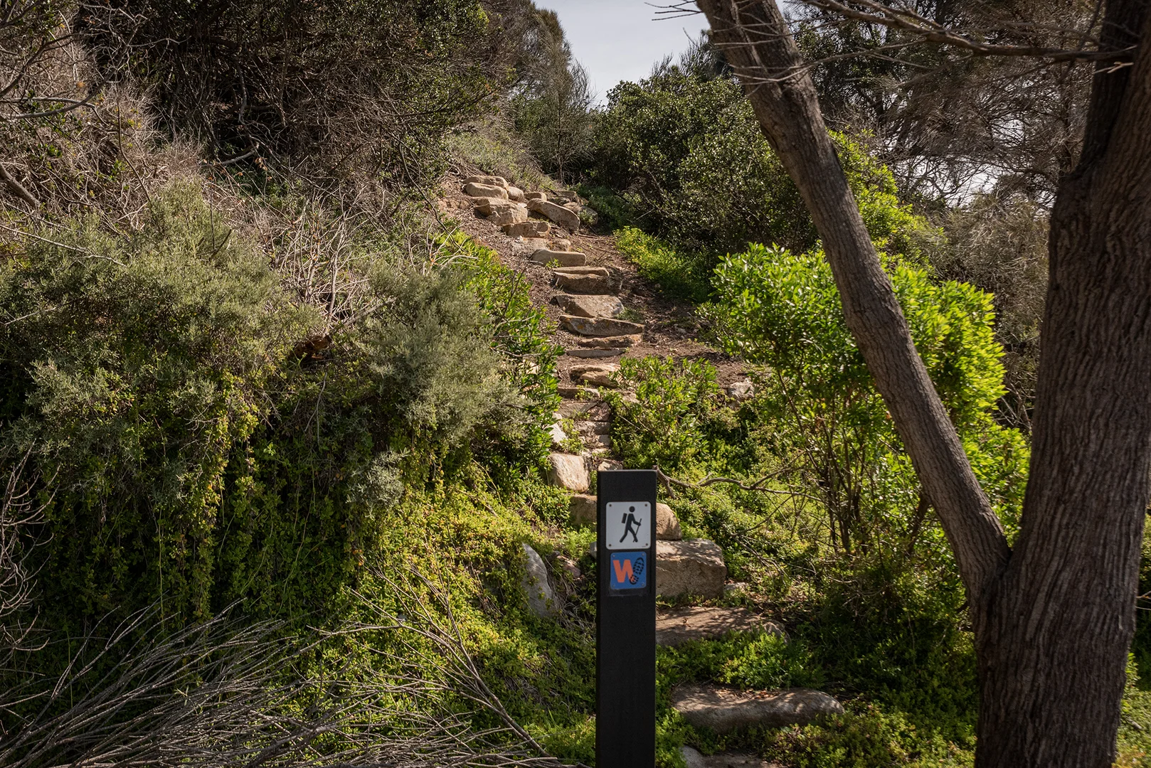 Additional image 10 of 10 Fowlers Road, Emita TAS 7255