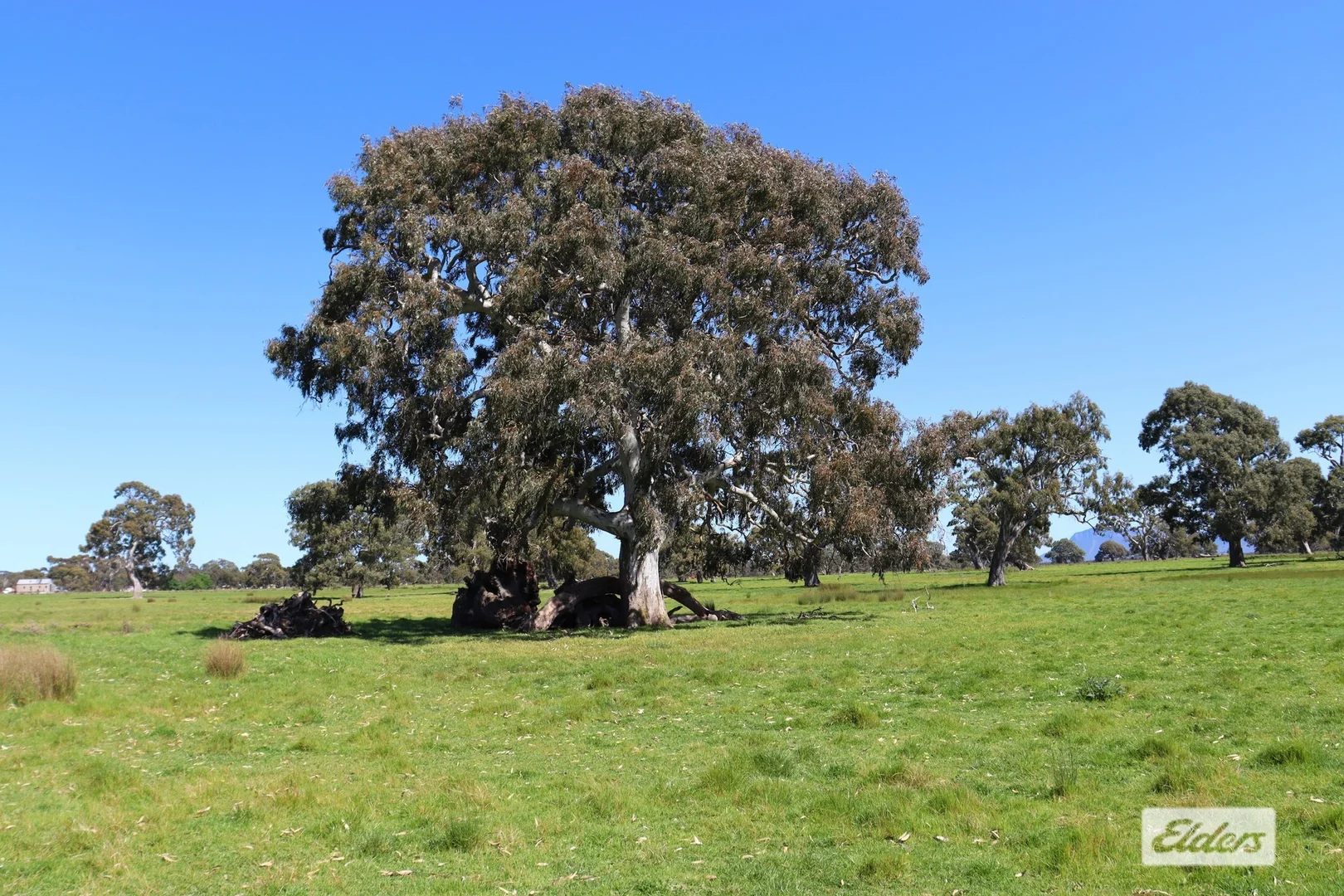 Additional image 16 of CA 91a 91b Mitchell Street, Glenthompson VIC 3293