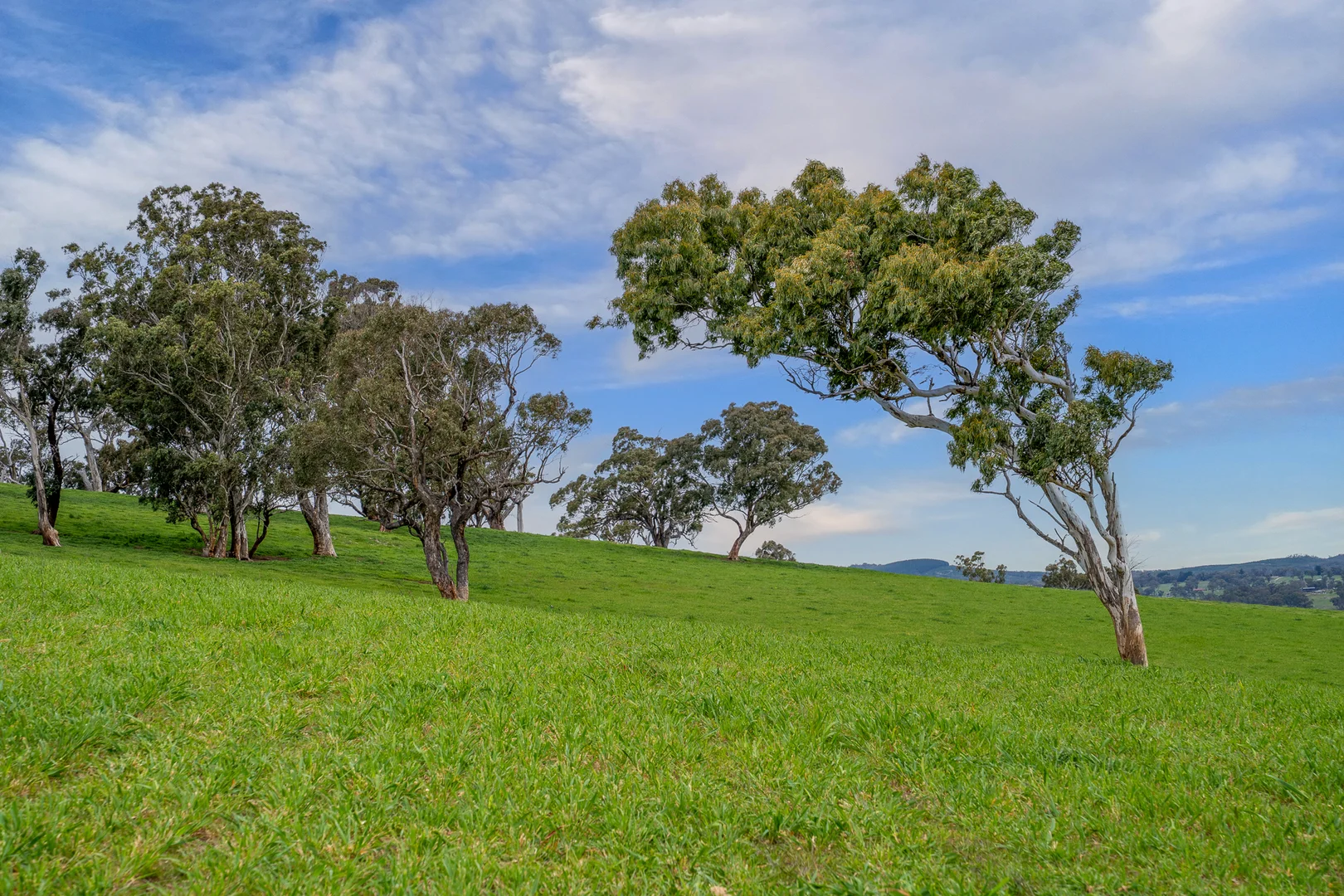 Additional image 17 of 1712 Hazelgrove Road, Tarana NSW 2787