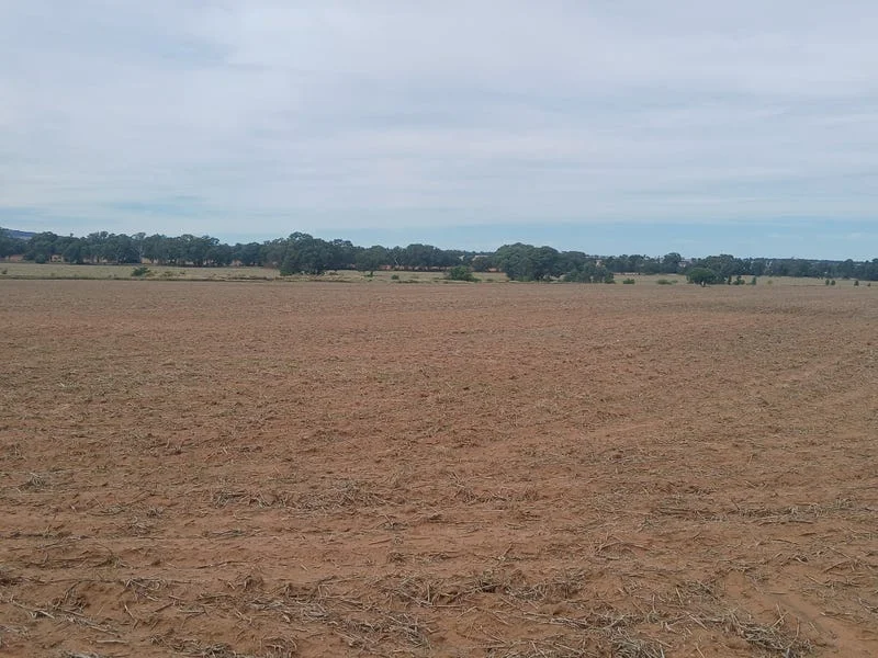 Additional image 22 of Tooraweenah NSW 2817