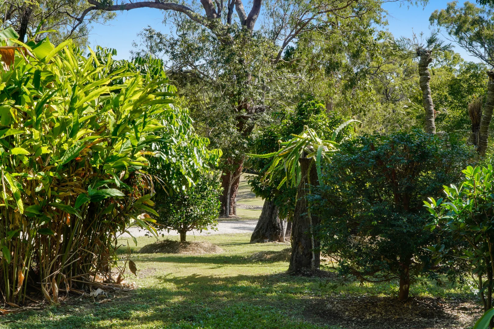 Additional image 23 of 210 Rafting Ground Road, Agnes Water QLD 4677