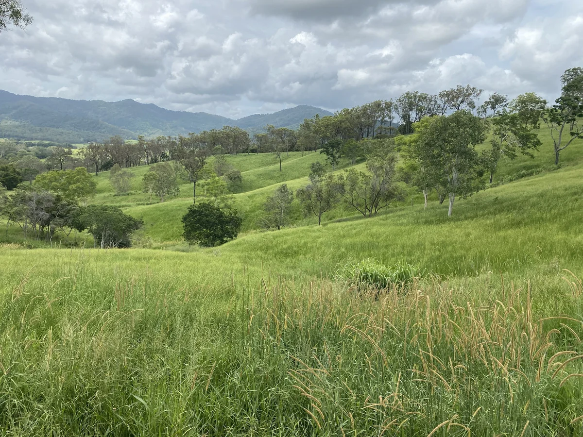 558 Marlborough-Sarina Road, Sarina QLD 4737