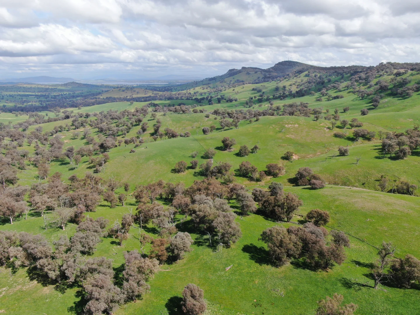 Additional image 6 of Holbrook NSW 2644