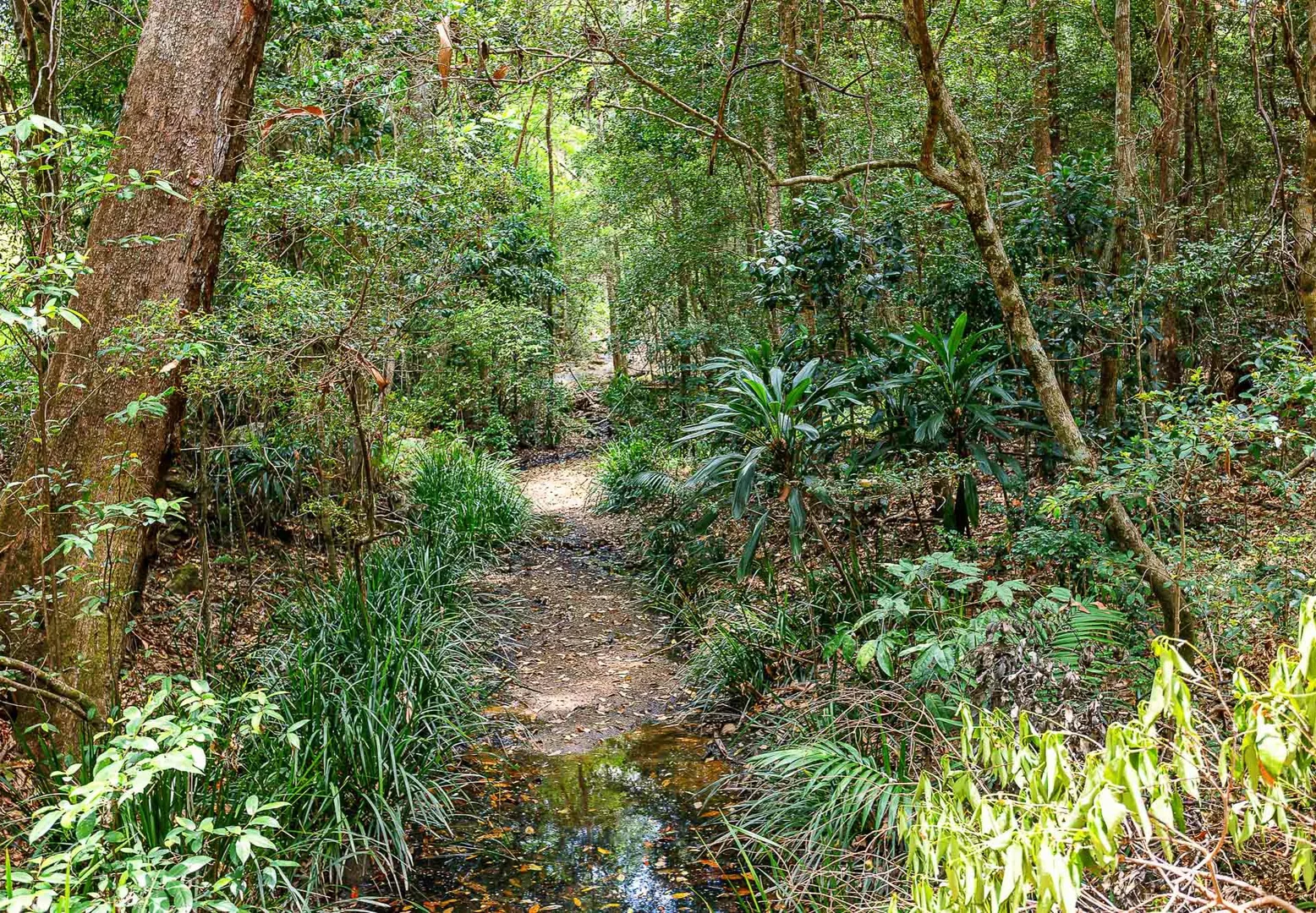 Additional image 16 of 13 Dunbar Road, Bonogin QLD 4213