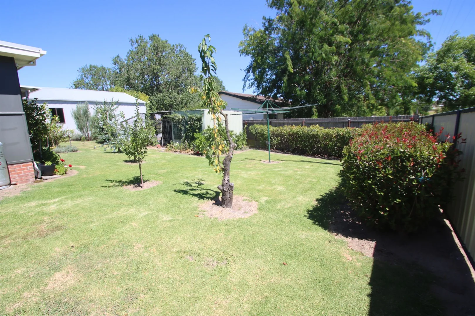 Additional image 19 of 59 Manners Street, Tenterfield NSW 2372