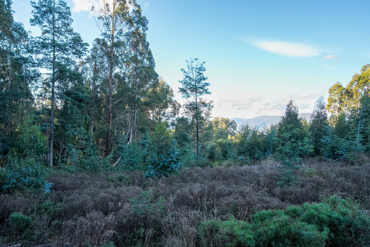 Additional image 6 of Lot 6 Paddys Lane, Franklin TAS 7113