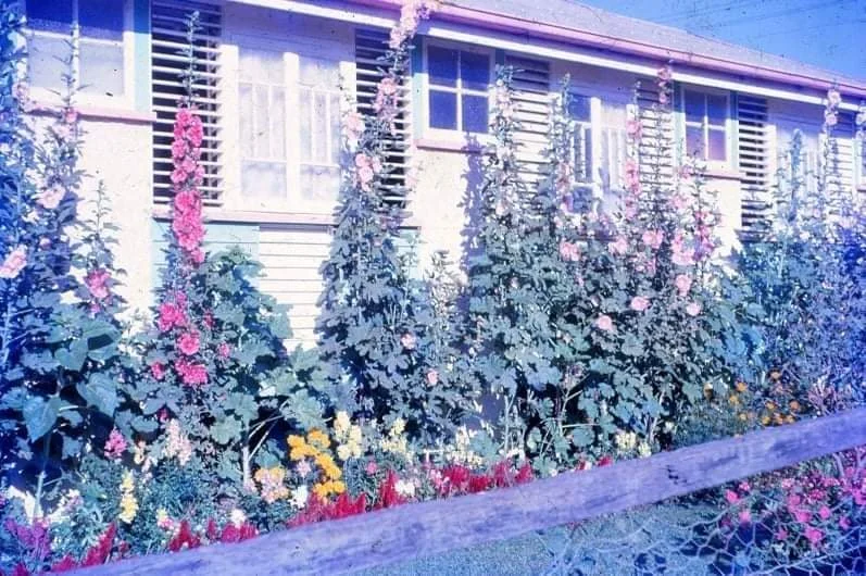 Additional image 16 of 10 Eleventh Avenue, Home Hill QLD 4806