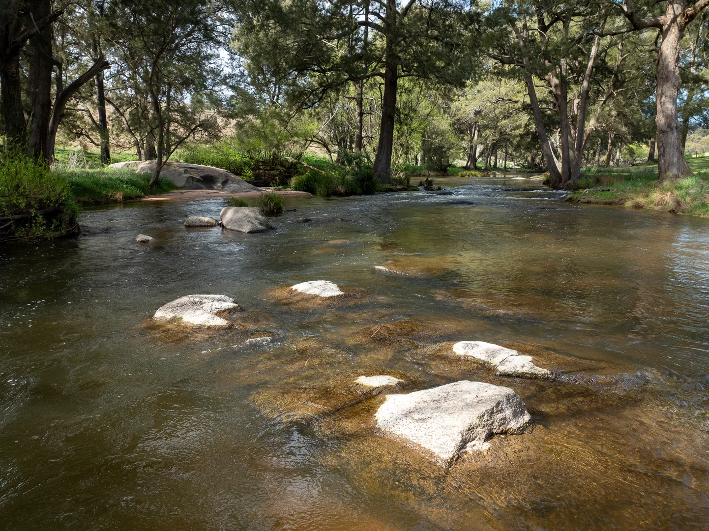 Additional image 20 of 1712 Hazelgrove Road, Tarana NSW 2787