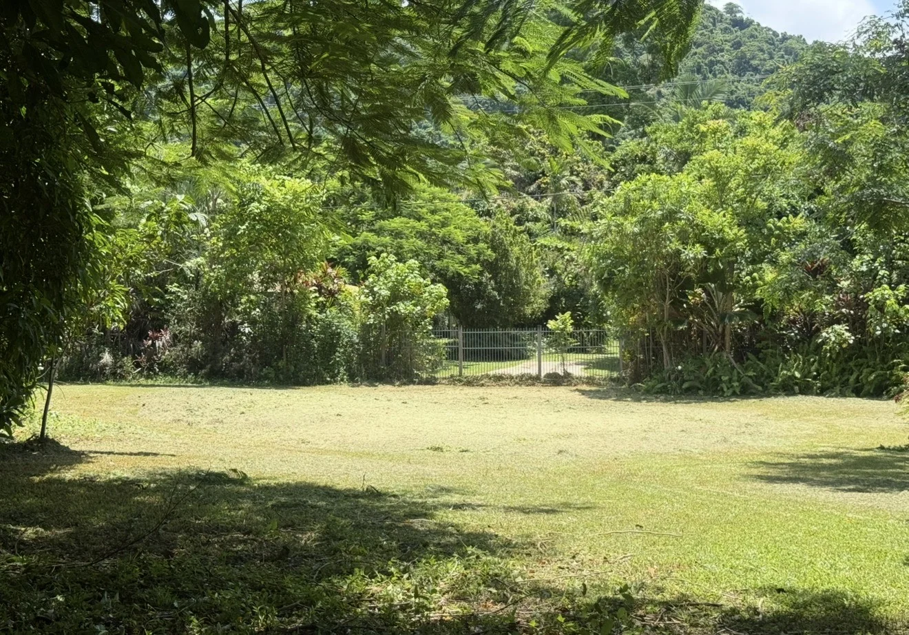 Additional image 5 of 21 Pioneer Street, Bingil Bay QLD 4852