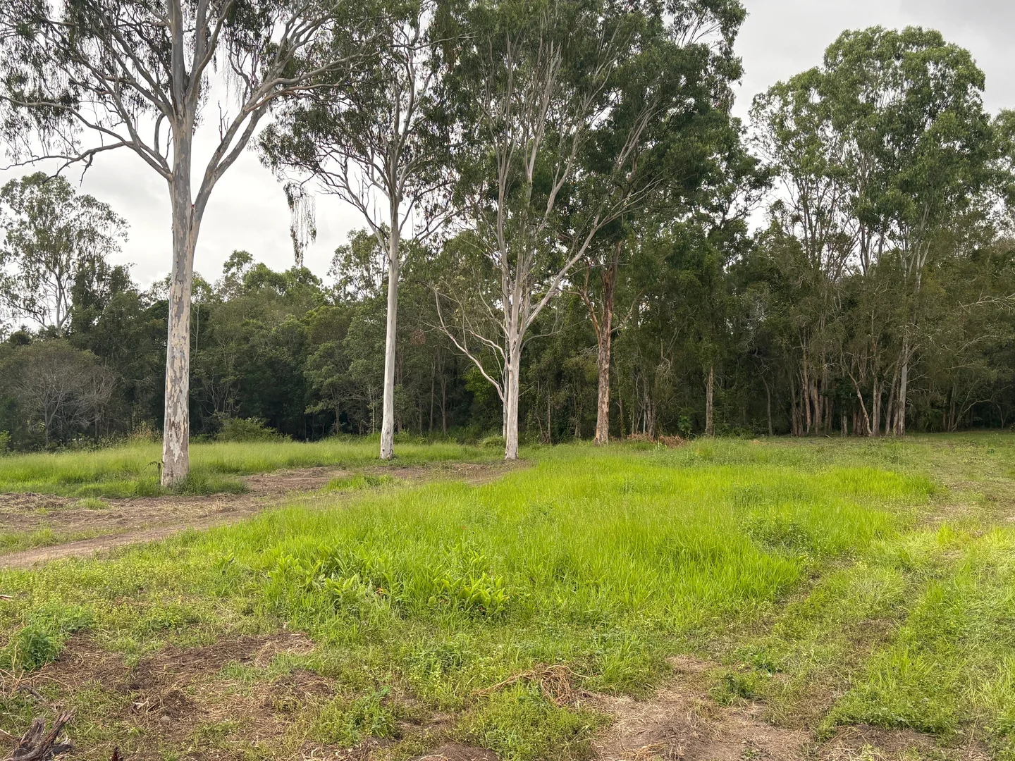 Additional image 6 of 73 Adelong Court, Morayfield QLD 4506