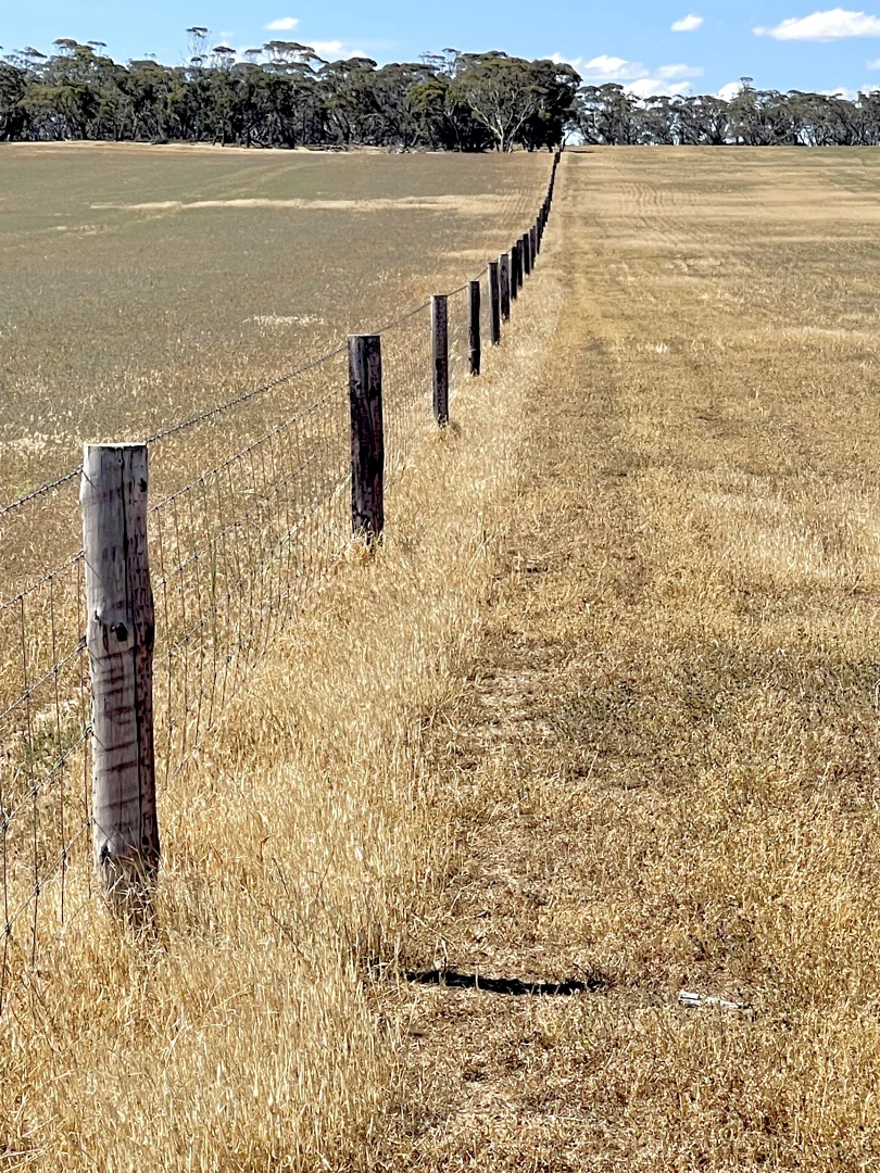 Additional image 22 of 860 Gerschwitz Road, Cungena SA 5660