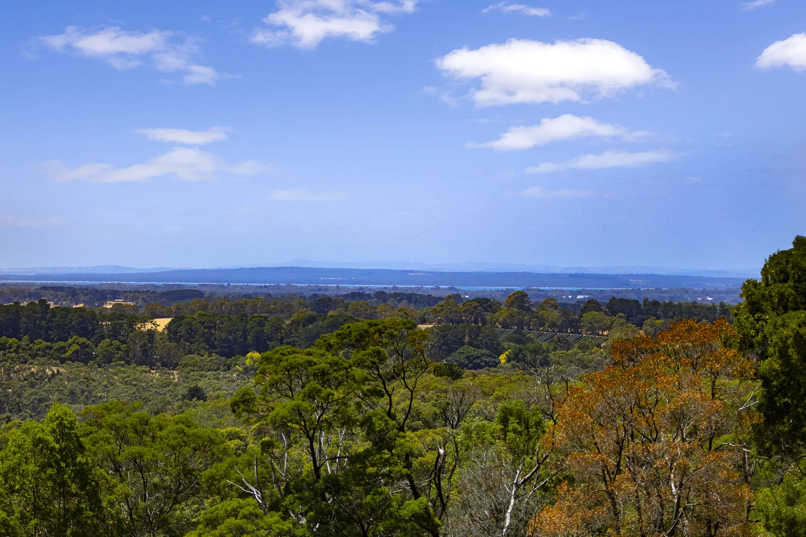 Additional image 11 of 100 Stanleys Road, Red Hill South VIC 3937