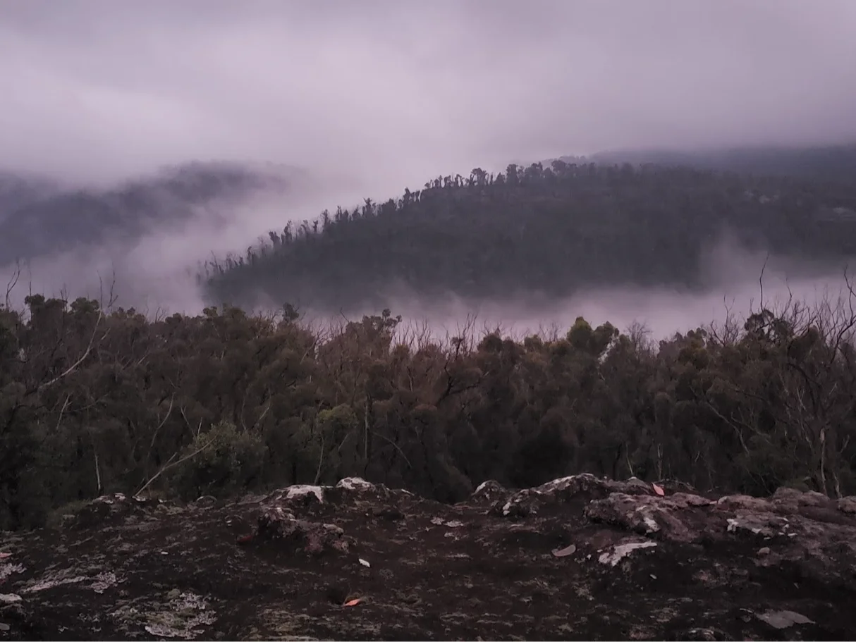 Additional image 7 of Illaroo NSW 2540