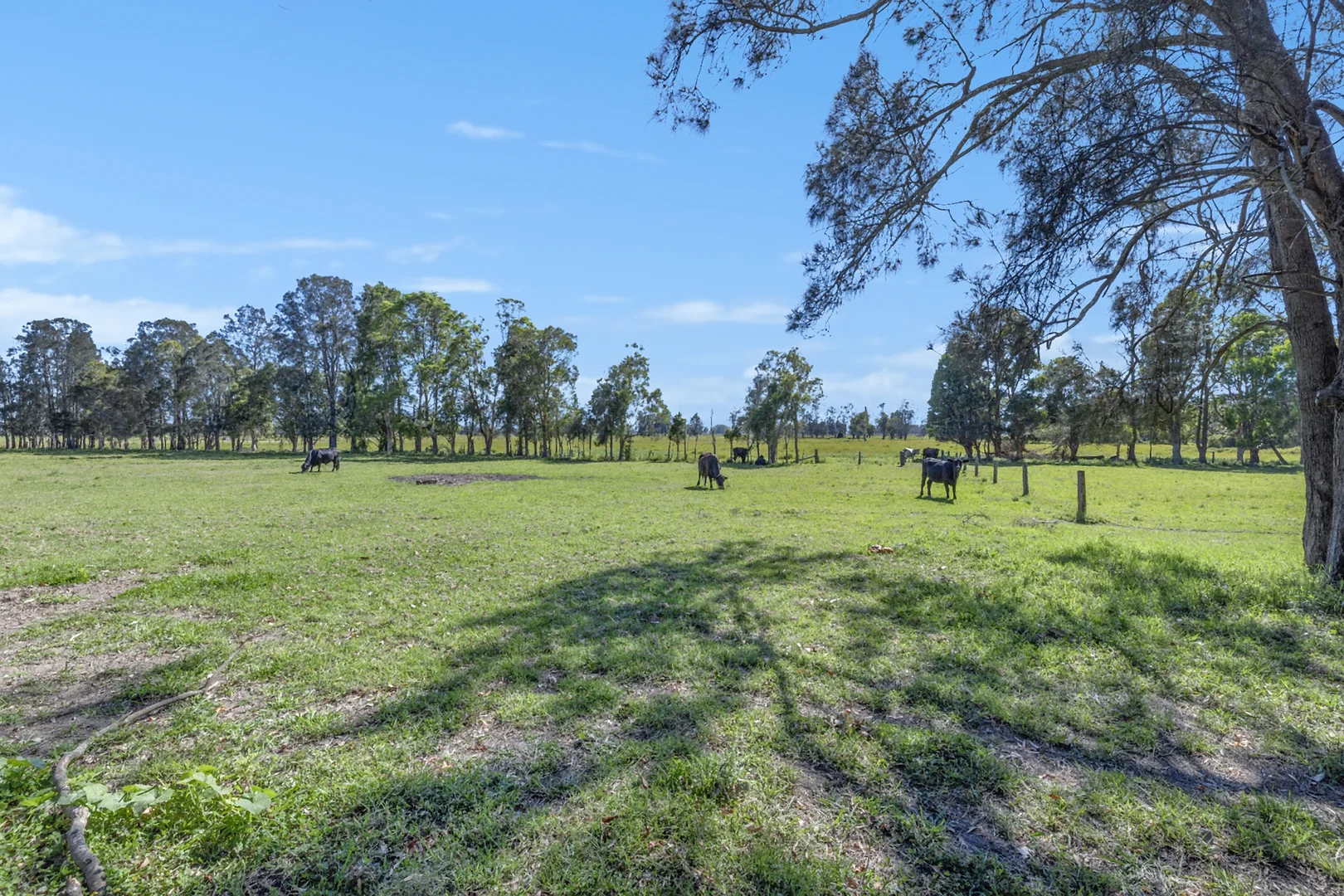 Additional image 19 of 83 Belmore River Right Bank Road, Belmore River NSW 2440