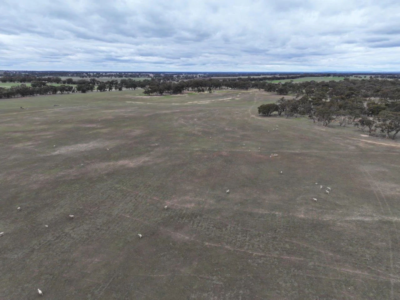 Additional image 12 of Lot 1 Rheola - Llanelly Road, Murphys Creek VIC 3551
