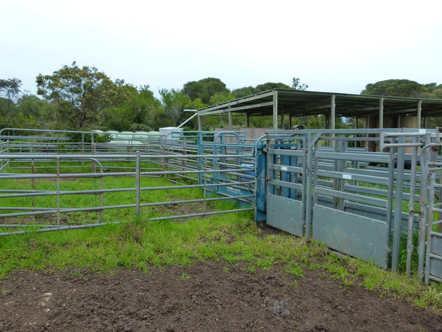 Additional image 9 of 1683 Canunda Frontage Road, Tantanoola SA 5280