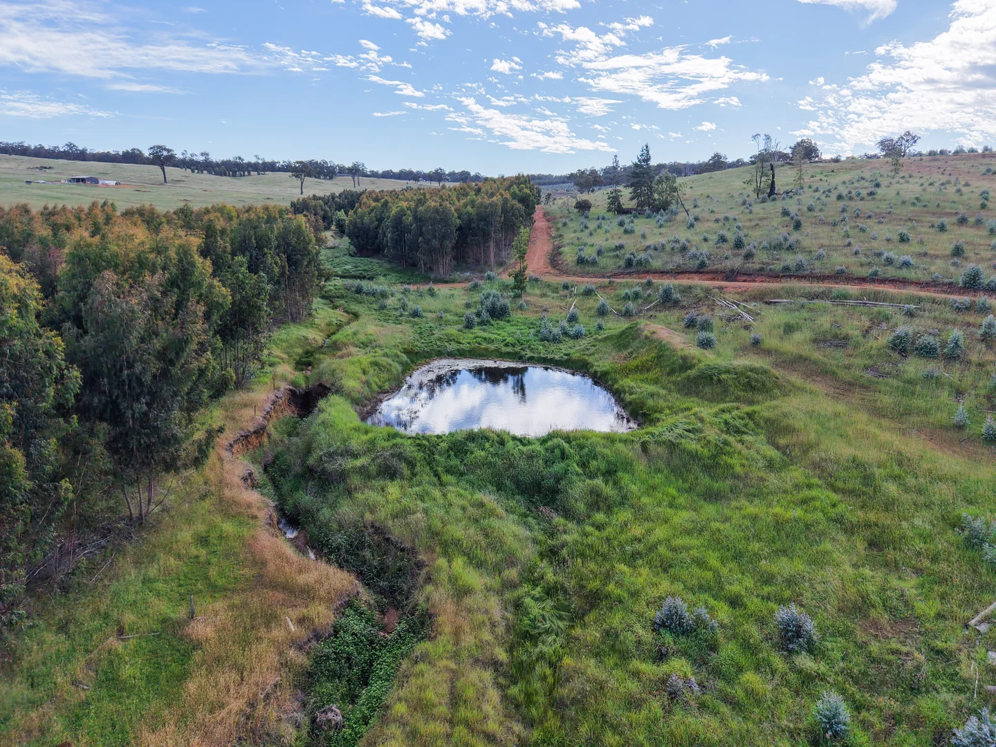 Additional image 10 of Lot 1251 Peninsula Road, Bridgetown WA 6255