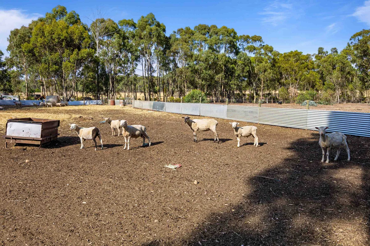 Additional image 24 of 28 Svensen Road, Majorca VIC 3465