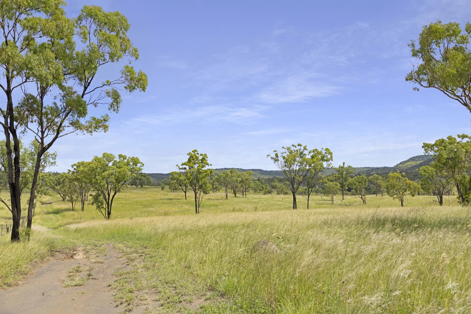 Additional image 10 of 124 Lee Farm Road, Bushley QLD 4702